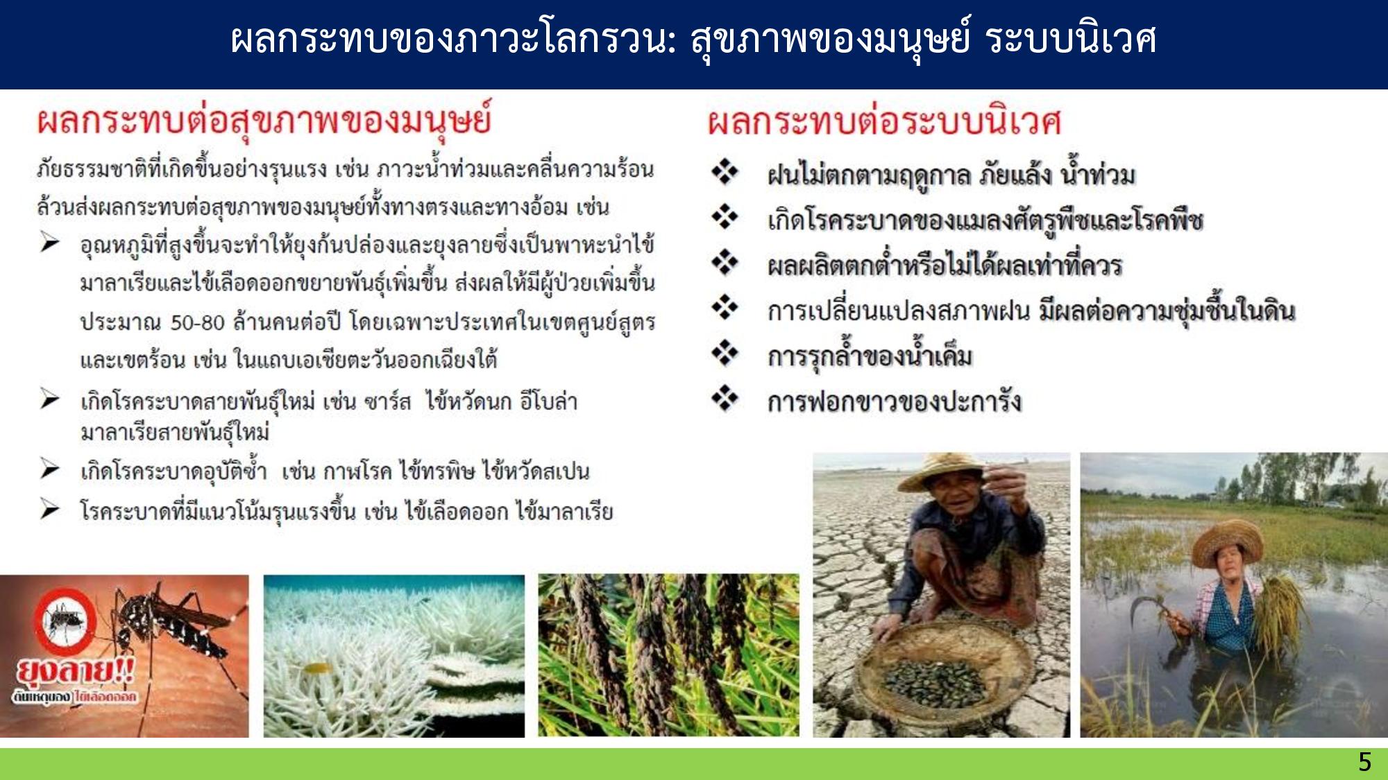 01 GreenhouseEffect page 005width=