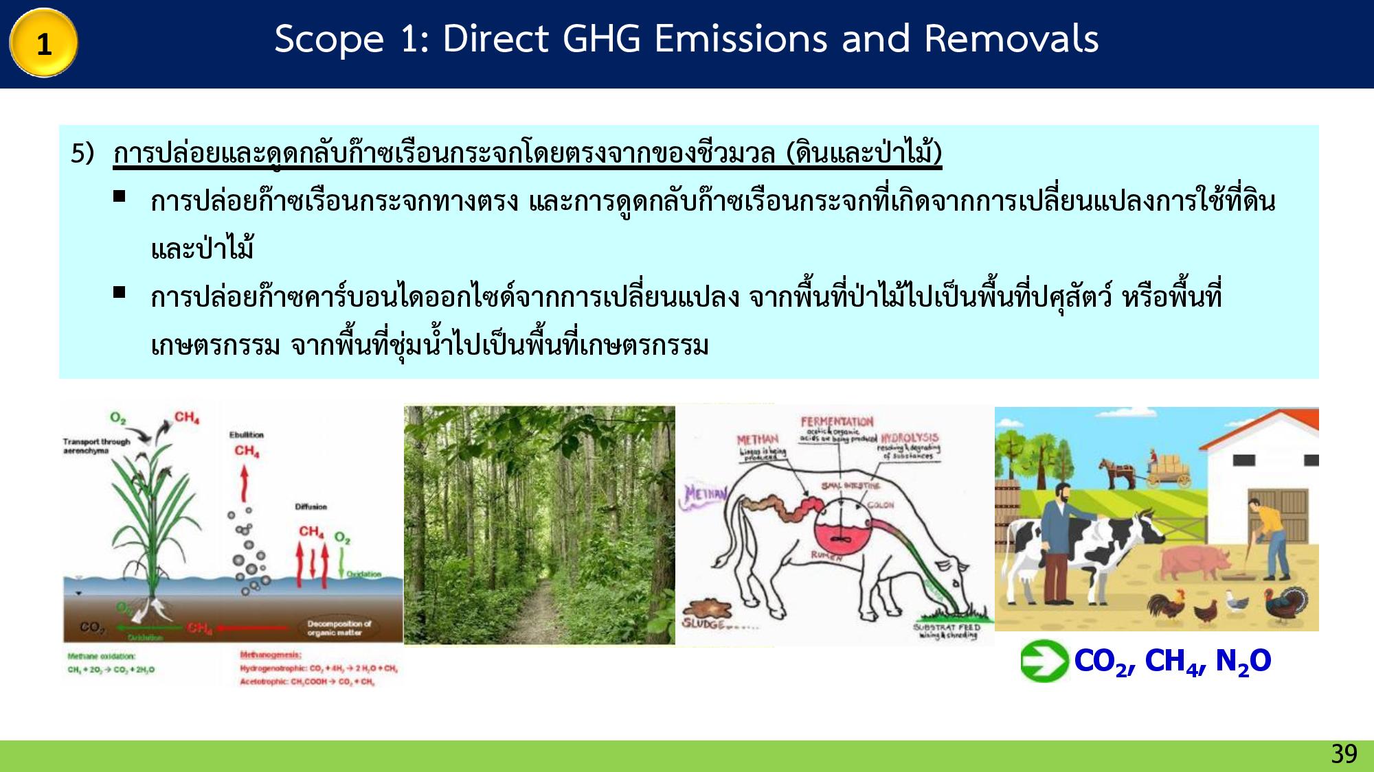 32 GreenhouseEffect page 039width=